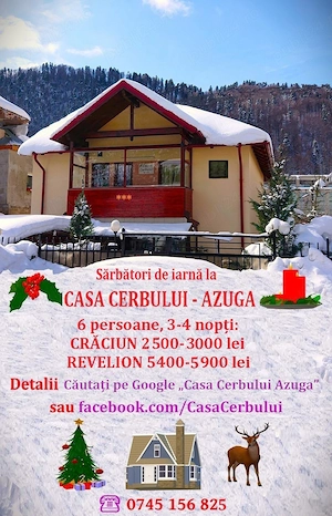 Cazare Crăciun, Revelion vilă Azuga central, între 2-6 pers. - imagine 10