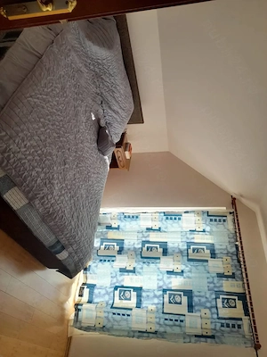 Vila Breaza 300Mp , teren 3000mp  - imagine 6