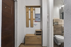 Garsonieră confort 1, renovată, utilată și mobilată-zona Lebăda(Z-uri) - imagine 8