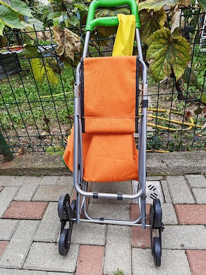 Carucior de cumparaturi 
