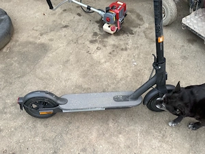 trotineta electrica xiaomi m 365 pro