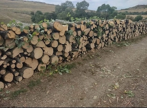 vand lemne de foc esenta tare fag capan si stejar 