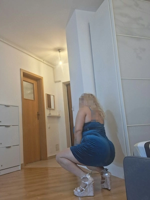 Servicii Totale Nouă în zonă Doamna Ghica