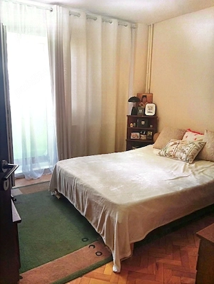 Apartament Micalaca zona 300 pe malul muresului Arad - imagine 2