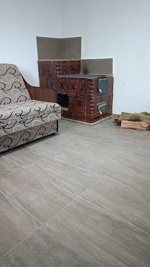 Vand casa in com. Fartatesti-Valcea - imagine 10