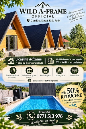 Complex turistic 3 A-frame + vilă premium  - imagine 6