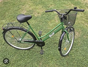 bicicleta adult