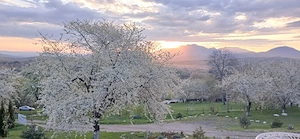 2 case in Bran, sat Predelut: locuinta + vila turistica***, exclusiv direct de la proprietar - imagine 2