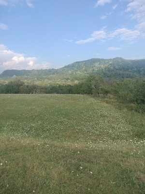 Vand teren extravilan Domnești, Arges 3,5 E mp - imagine 3