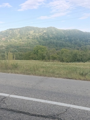 Vand teren extravilan Domnești, Arges 3,5 E mp - imagine 2