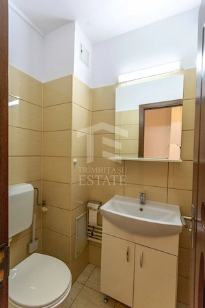 Dristor Fizicienilor Apartament 3 camere - imagine 18
