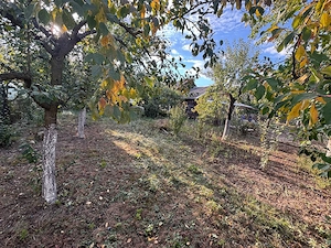 Vând casă pe str. Titu Maiorescu, Sighetu Marmației  - imagine 5