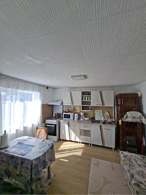 De vânzare: Gospodărie completă cu casă utilată, anexe, curte și livadă mare   6.243 mp, Cuca (sat C - imagine 5