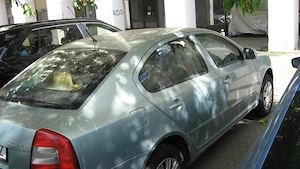Skoda Octavia 2 Facelift (2010)   1.9 TDI   98.000 km Reali   Primul Proprietar   Ca Nouă - imagine 4