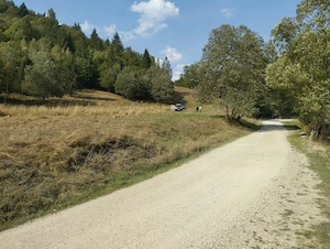 Vanzare teren - zona Plaiul Foii, Zărnești - imagine 2