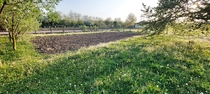 Vând casă cu teren intravilan ultra central în satul Batiz, S = 5.675 mp;  Preț = 210.000 Euro - imagine 7