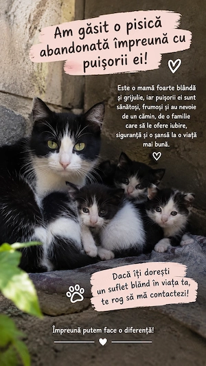 Adopție, gratis 