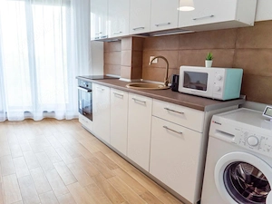 Proprietar inchiriez ap. 2 camere Nord - imagine 6