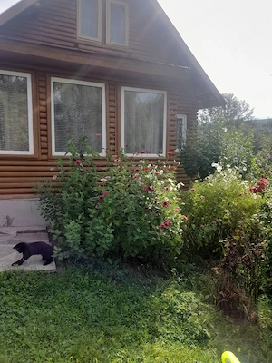 vanzare casa - imagine 4