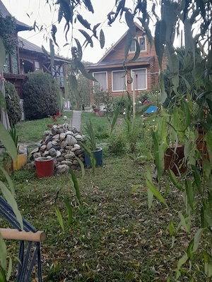 vanzare casa - imagine 2
