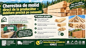 Material lemnos pentru constructii