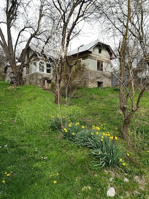 TEREN INTRAVILAN 5.017 mp + 2 case   sat Măgura, com. Bezdead, jud. Dâmbovița - imagine 9