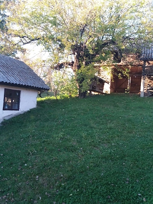 TEREN INTRAVILAN 5.017 mp + 2 case   sat Măgura, com. Bezdead, jud. Dâmbovița - imagine 4
