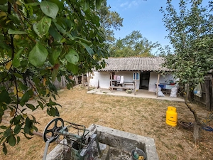Casă și teren Potcoava, Olt - imagine 10