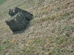 De vânzare 