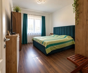 Duplex Dumbravita, proprietar - imagine 8