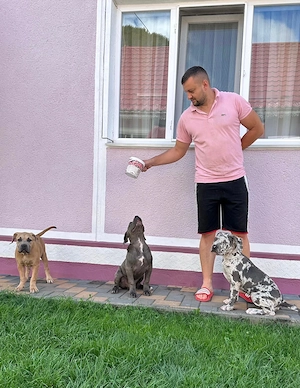 American Bully Xl - imagine 2