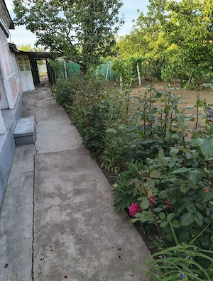 Casa de vanzare comuna Costache Negri, judetul Galati - imagine 2