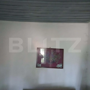 CASĂ DE RENOVAT PE TEREN DE 910 MP – ORBEASCA DE SUS - imagine 13