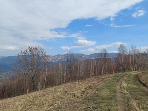 Teren extravilan în comuna Sălciu, județul Alba - imagine 5