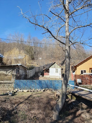 Casa de vacanta in pădure aproape București - imagine 4