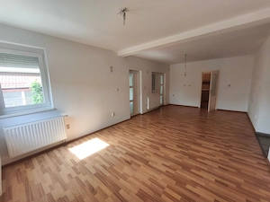 Chișoda casa 7 camere 1200 euro - imagine 12