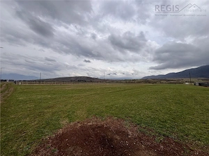 Teren constructii, 2396mp, front 19ml-Zarnesti - imagine 4