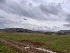Teren constructii, 2396mp, front 19ml-Zarnesti