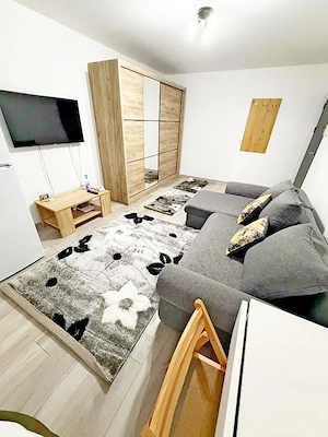La doar 280 euro, apartament cu o cameră, cu centrală proprie, parter, zona Calea Aradului. - imagine 10