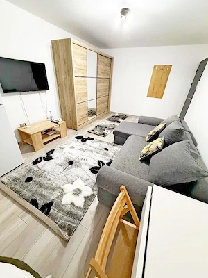 La doar 280 euro, apartament cu o cameră, cu centrală proprie, parter, zona Calea Aradului. - imagine 12