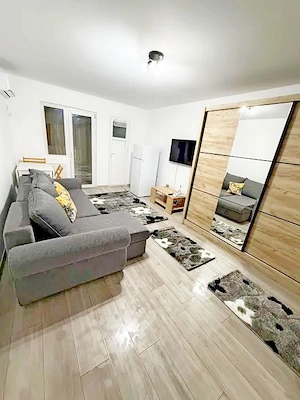 La doar 280 euro, apartament cu o cameră, cu centrală proprie, parter, zona Calea Aradului. - imagine 11