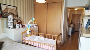 Inchiriez ap 2 camere Hercesa Vivenda - imagine 6