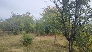 de vanzare teren intravilan in Scanteia comuna Jaristea jud Vrancea  - imagine 2