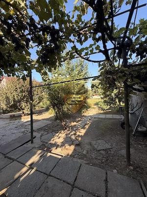 🏡 Casă cu teren generos de 1.400 mp – Palazu Mare, - imagine 5