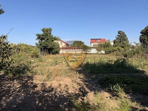 🏡 Casă cu teren generos de 1.400 mp – Palazu Mare, - imagine 3