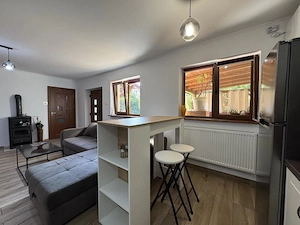 Casa parter, renovata, mobilata, gradina amenajata, str Petofi Sandor-Dumbravita - imagine 20