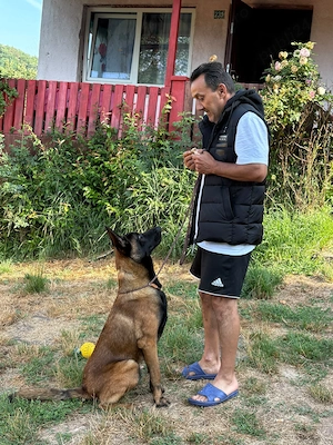 Dresaj canin profesoinal