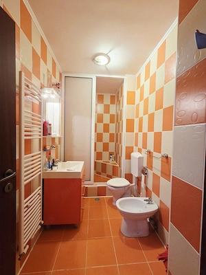 Apartament 1 camera  pe Faleza cu vedere la Dunare - imagine 10