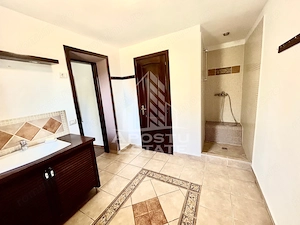 Casa cu 5 camere de inchiriat, curte proprie, Sanmihaiu Roman, Timis - imagine 11