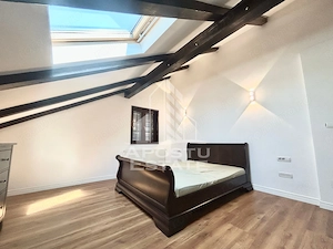 Casa cu 5 camere de inchiriat, curte proprie, Sanmihaiu Roman, Timis - imagine 14